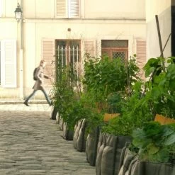 Dekohaus Verkauf 35 Baclong 4 Stoffpflanzgefäß, 145 l, Geotextil