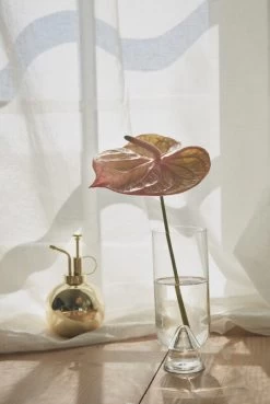 AYTM Globe Blumensprüher, Goldfarben -Dekohaus Verkauf AYTM D2 08 269