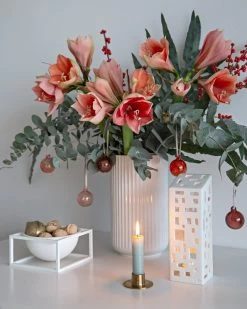 Iittala Glaskugel-Set, 5 Stück, 40 mm, Rot -Dekohaus Verkauf Christmas Mood 12