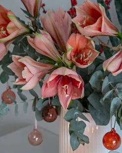 Iittala Glaskugel-Set, 5 Stück, 40 mm, Rot -Dekohaus Verkauf Christmas Mood 13