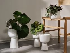 Iittala Nappula Blumentopf, 230 X 155 Mm, Weiß -Dekohaus Verkauf Iittala 2021 Nappula 05