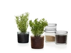 Iittala Kastehelmi Vorratsglas, 116 X 57 Mm, Transparent -Dekohaus Verkauf Kastehelmijargreydesertcleargroup 2 1