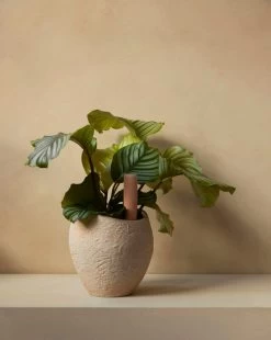 Menu Plantas Blumentopf, 24 cm, Elfenbeinfarben -Dekohaus Verkauf MENU Plantas Planter Hydrous Watering Stick 1