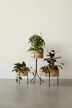 Menu Umanoff Pflanzgefäß, 69 Cm, Schwarz – Rattan -Dekohaus Verkauf MENU Planters