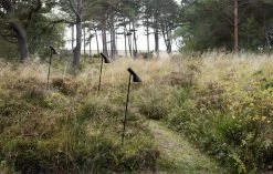 Louis Poulsen AJ Garden Wegeleuchte, Lang, 3000 K, Fußplatte Ohne Adapter -Dekohaus Verkauf SS23 AJ Garden Tall 3 10010role